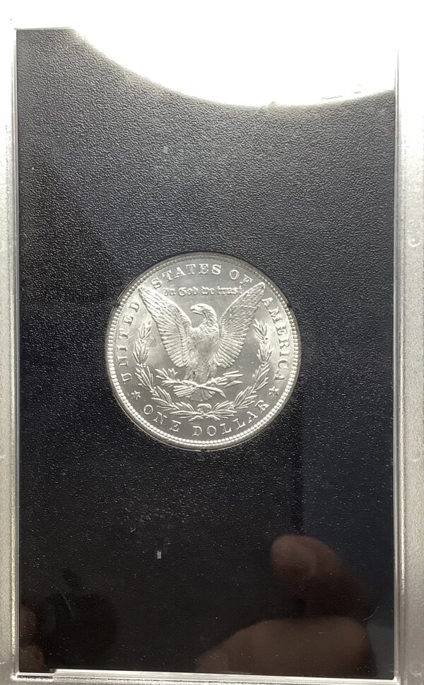 1886 Morgan Silver Dollar GSA Hard Pack Frosty White BU Very Scarce Non-CC Coin - Image 5