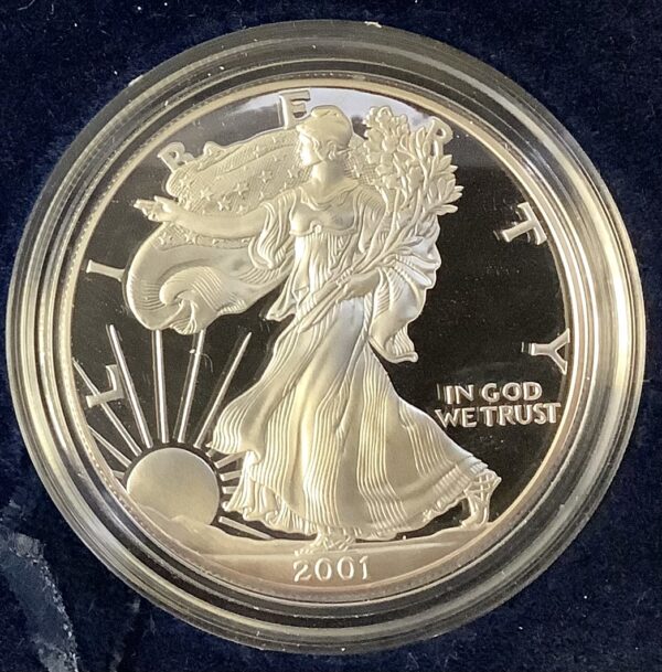 2001-W 1oz Proof American Silver Eagle Coin ASE w/OGP COA Box Shows Wear - Image 3