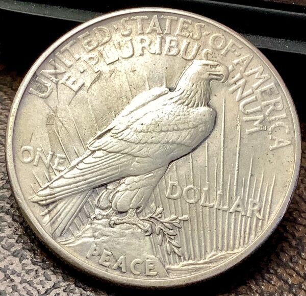 1921 Silver Peace Dollar Hi Relief Key Date 1st Year Issue Lightly Toned XF+/AU - Image 6