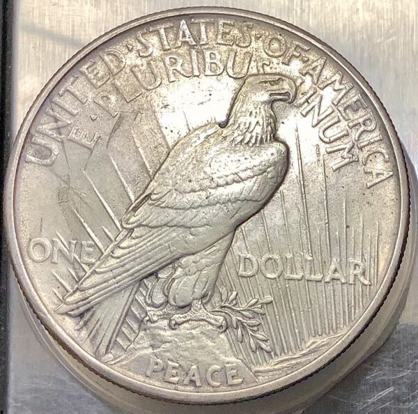 1921 Silver Peace Dollar Hi Relief Key Date 1st Year Issue Lightly Toned XF+/AU - Image 2