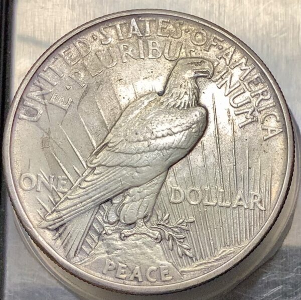 1921 Silver Peace Dollar Hi Relief Key Date 1st Year Issue Lightly Toned XF+/AU - Image 4