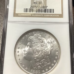 1881-S Morgan Silver Dollar Snow White Gem - NGC MS65 OH Edge of Holder Chipped