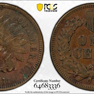 1873 Indian Head Cent Doubled LIBERTY XF Detail Corrosion Removed w/Retained CUD