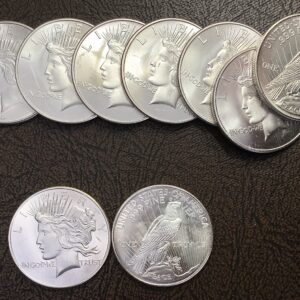 ONE (1) 1oz .999 Silver Peace Dollar Type Round Sigma Verified Weighed