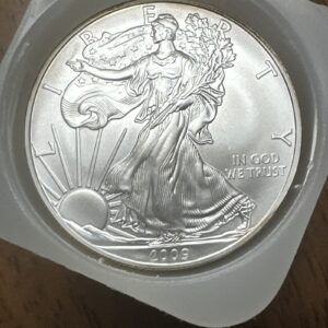 US Mint Roll (20) 2009 American Silver Eagles .999 Fine Mint Tube Superb Gem BU (002)